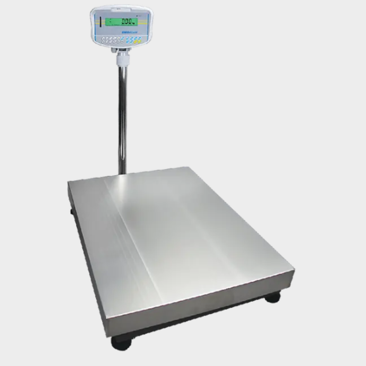 Adam GFK Bench Scales — 140lb to 700lb Capacity